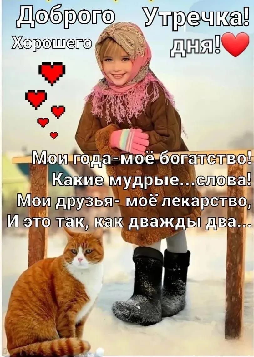 Доброго Утречка! Хорошего дня! Мои года - моё богатство! Какие мудрые слова! Мои друзья - моё лекарство, И это так, как дважды два..