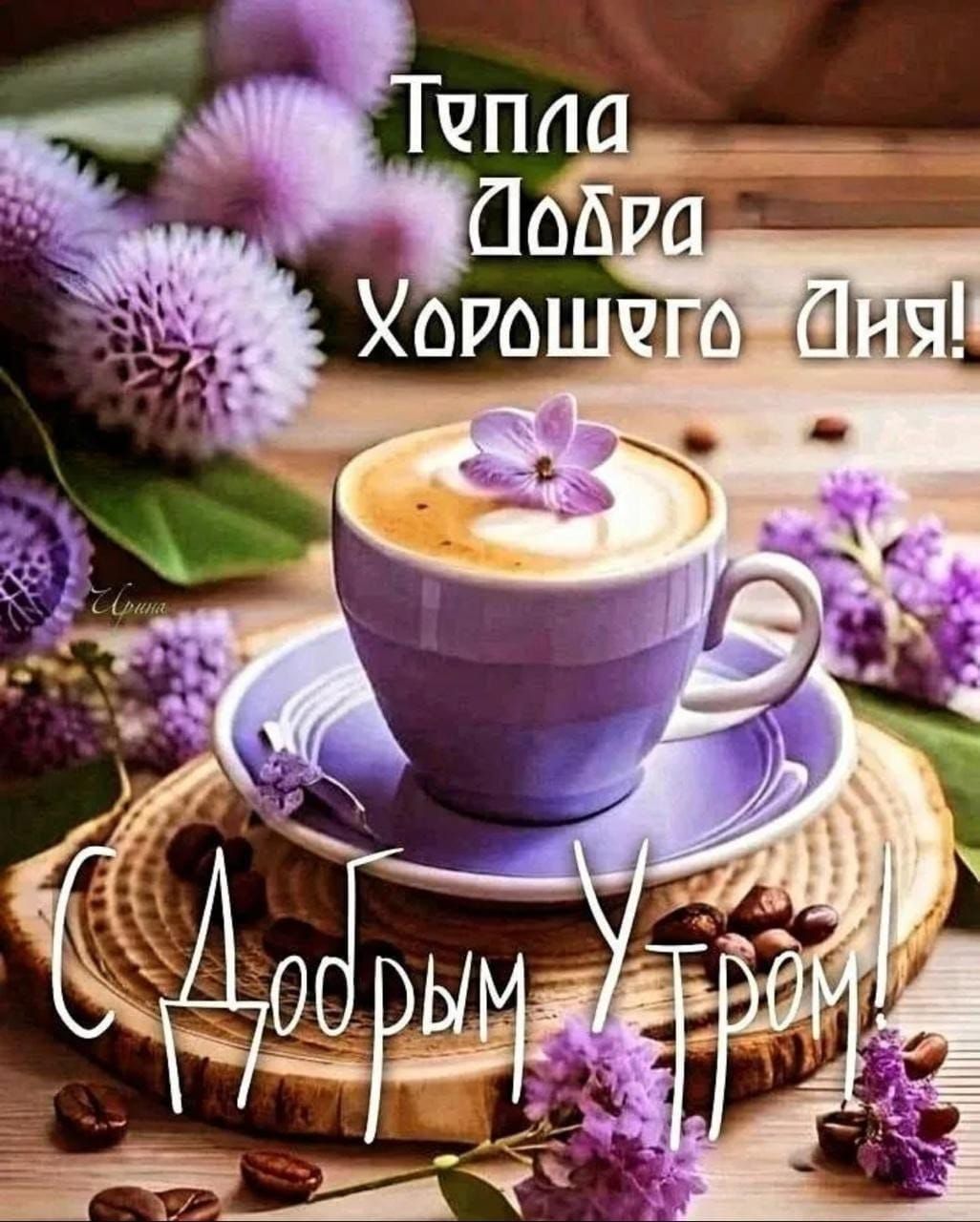 Тепла Добра Хорошего дня! С Добрым Утром!