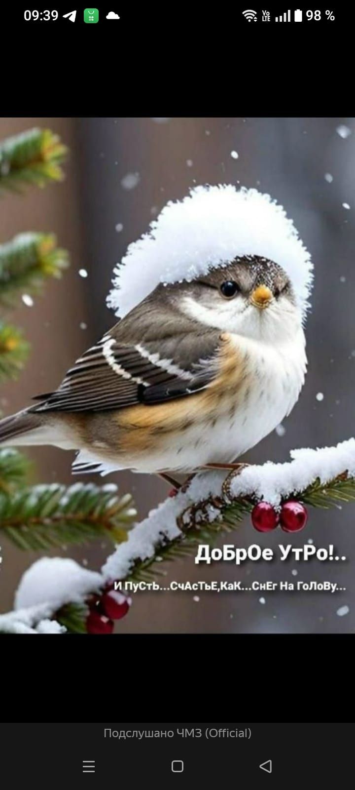 Доброе утро!.. И пусть счастье, как снег на голову...