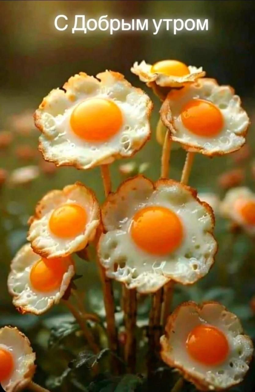 С Добрым утром