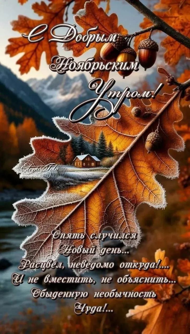С Добрым Ноябрьским Утром! Опять случился новый день... Рассвет, неведомо откуда! И не вместить, не объяснить... Обыденную необычность Чуда!...