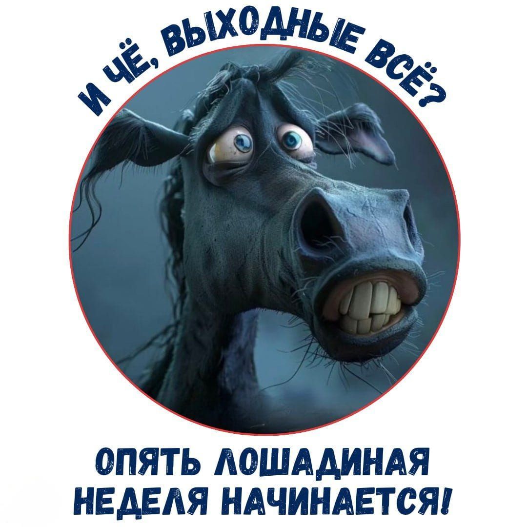 И чё, выходные всё? Опять лошадиная неделя начинается!