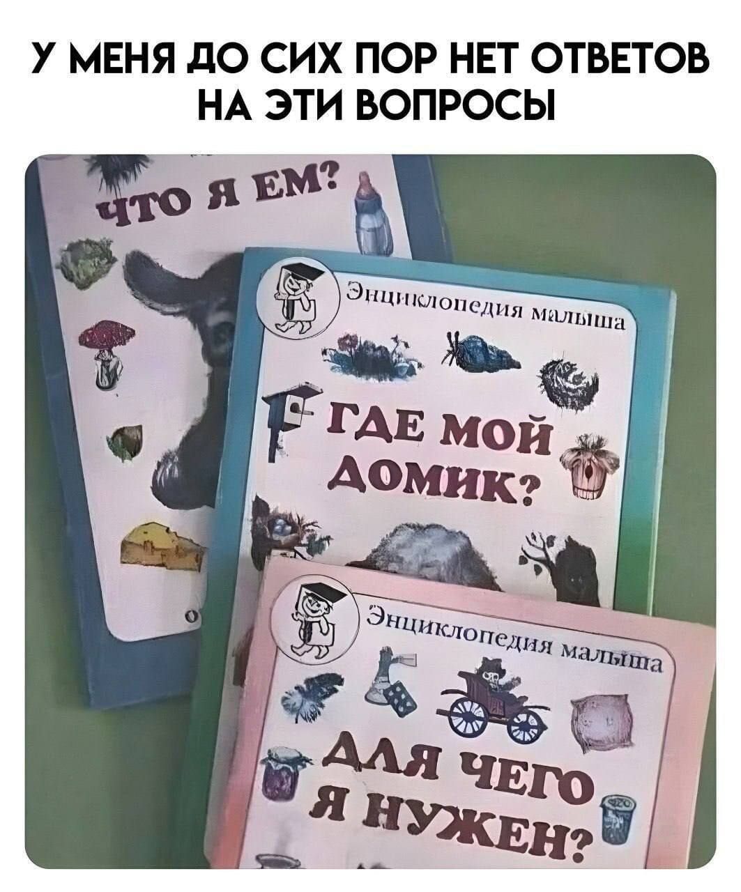 У меня до сих пор нет ответов на эти вопросы. Что я ем? Где мой домик? Для чего я нужен?