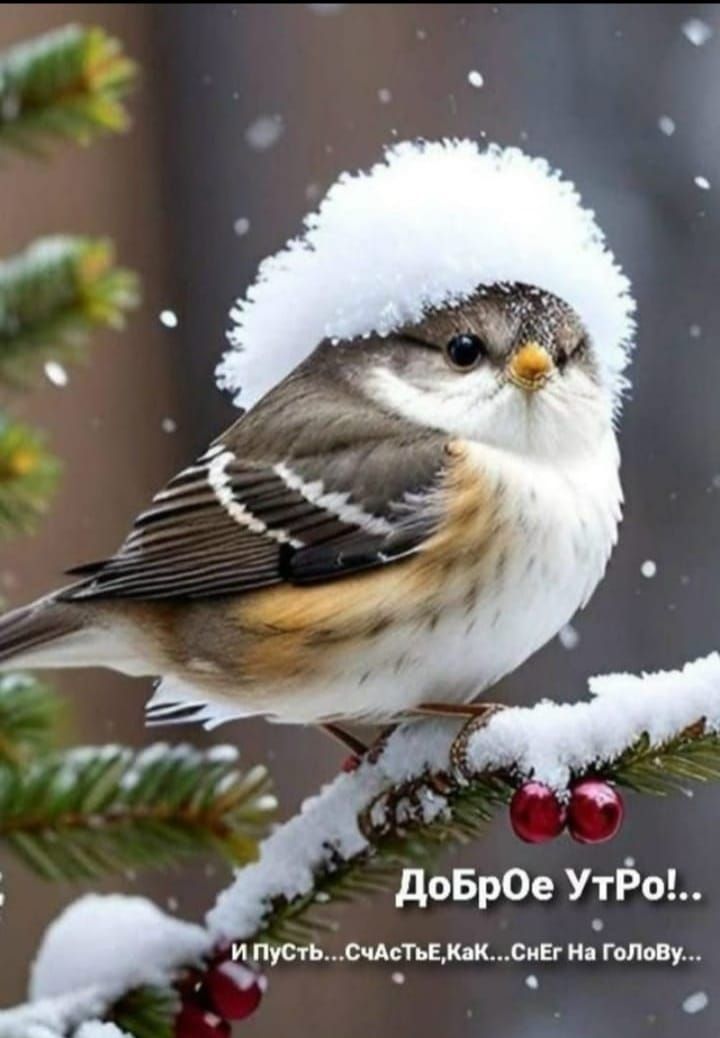 Доброе утро!.. И пусть счастье, как снег, на голову...