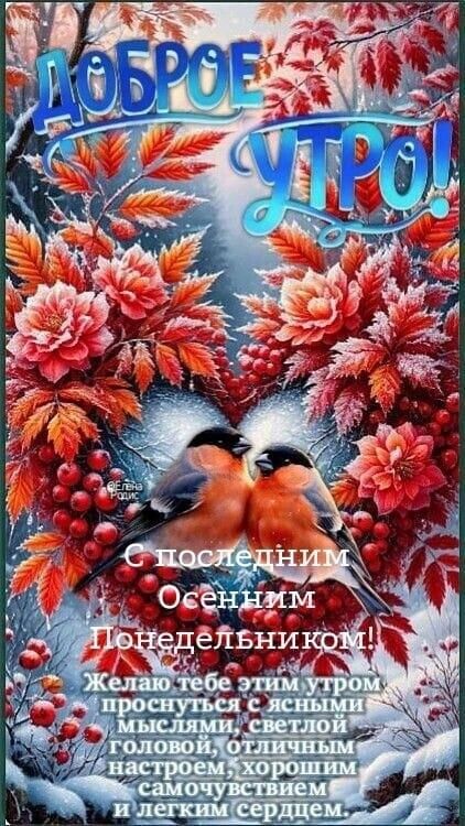 Доброе утро! с последним Осенним Понедельником! Желаю тебе этим утром проснуться с ясными мыслями, светлой головой, отличным настроем, хорошим самочувствием и легким сердцем.