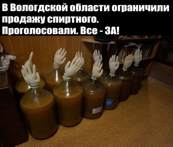 В Вологодской области ограничили продажу спиртного. Проголосовали. Все - ЗА!