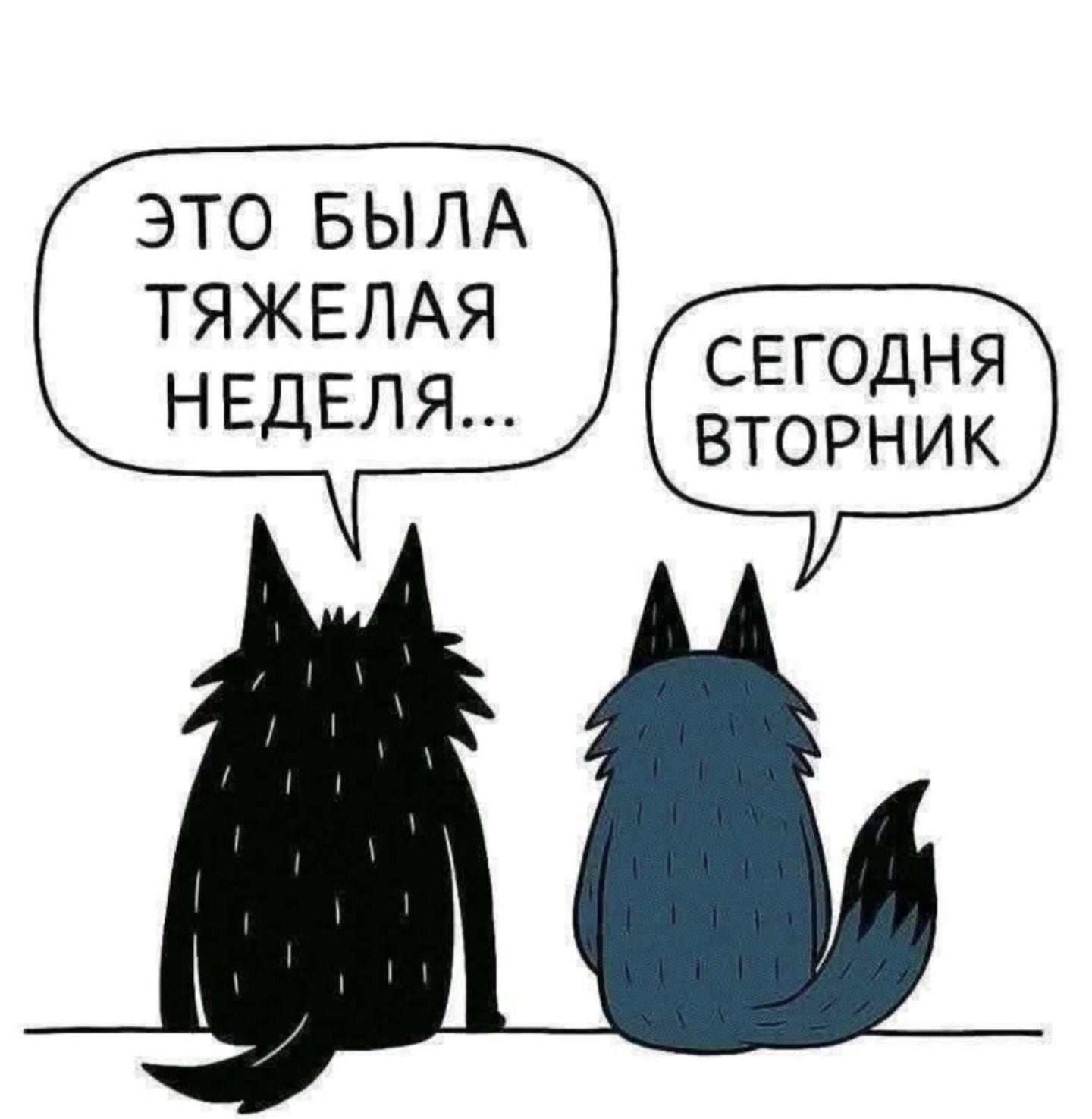Это была тяжелая неделя... Сегодня вторник