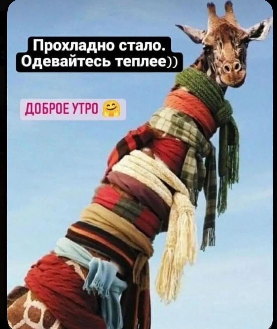 Прохладно стало. Одевайтесь теплее)) Доброе утро