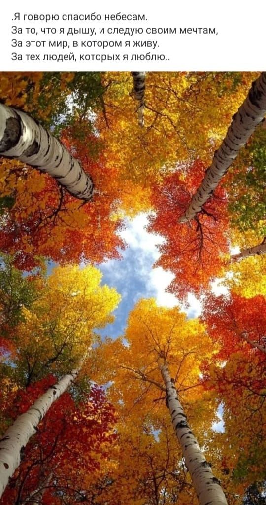Я говорю спасибо небесам. За то, что я дышу, и следую своим мечтам, За этот мир, в котором я живу. За тех людей, которых я люблю..