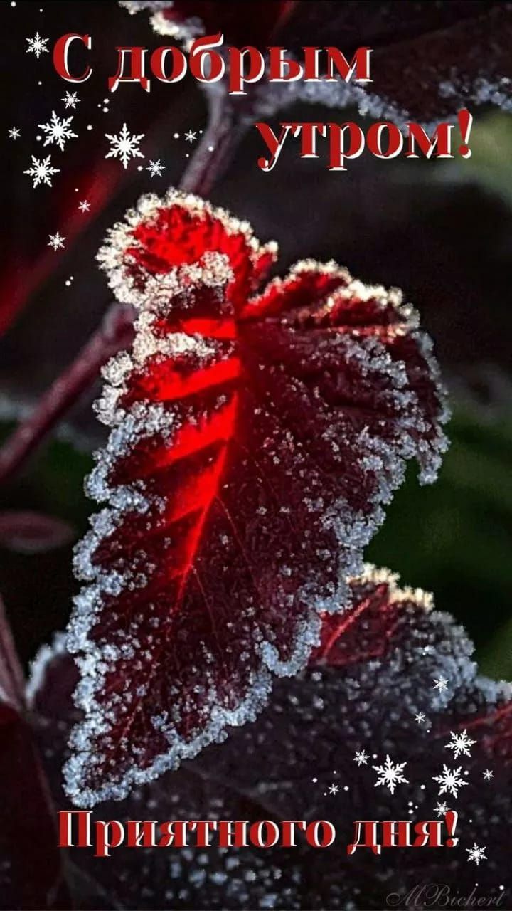 С добрым утром! Приятного дня!