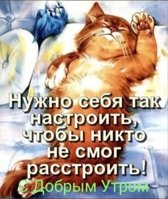 Нужно себя так настроить, чтобы никто не смог расстроить! Добрым утром