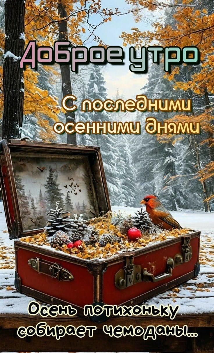 Доброе утро
С последними осенними днями
Осень потихоньку собирает чемоданы...