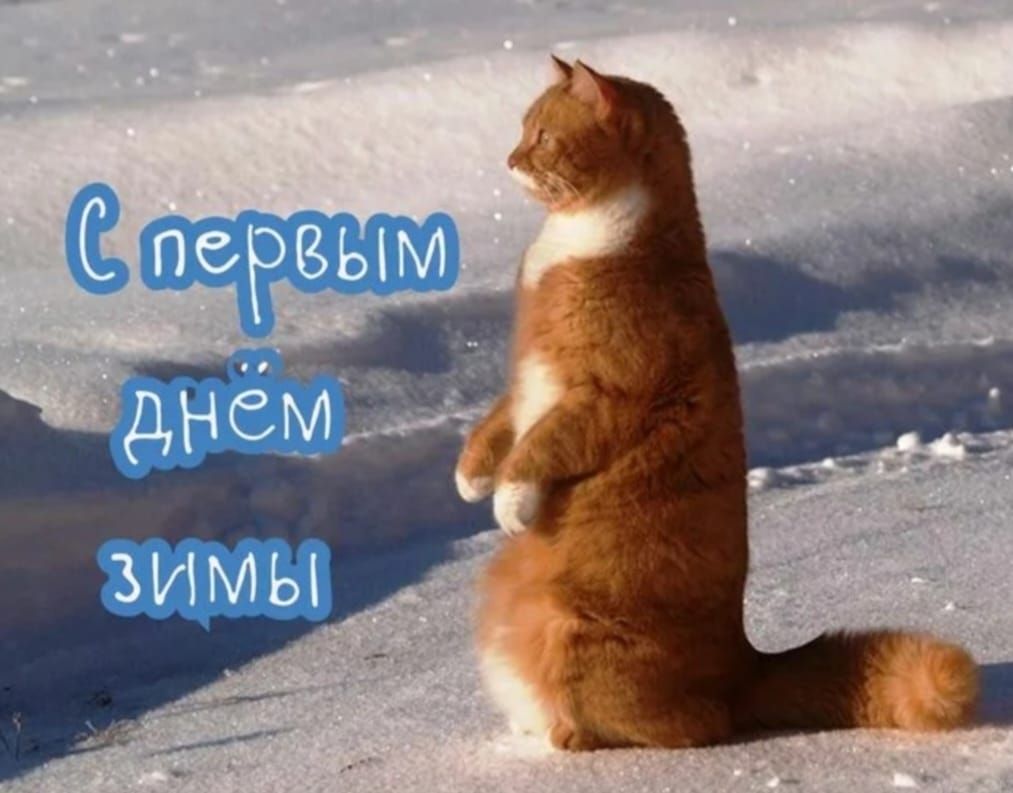 С первым днём зимы