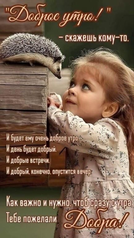 «Доброе утро!» — скажешь кому-то. И будет ему очень доброе утро. И день будет добрый. И добрые встречи. И добрый, конечно, опустится вечер. Как важно и нужно, чтобы сразу с утра Тебе пожелали Добра!