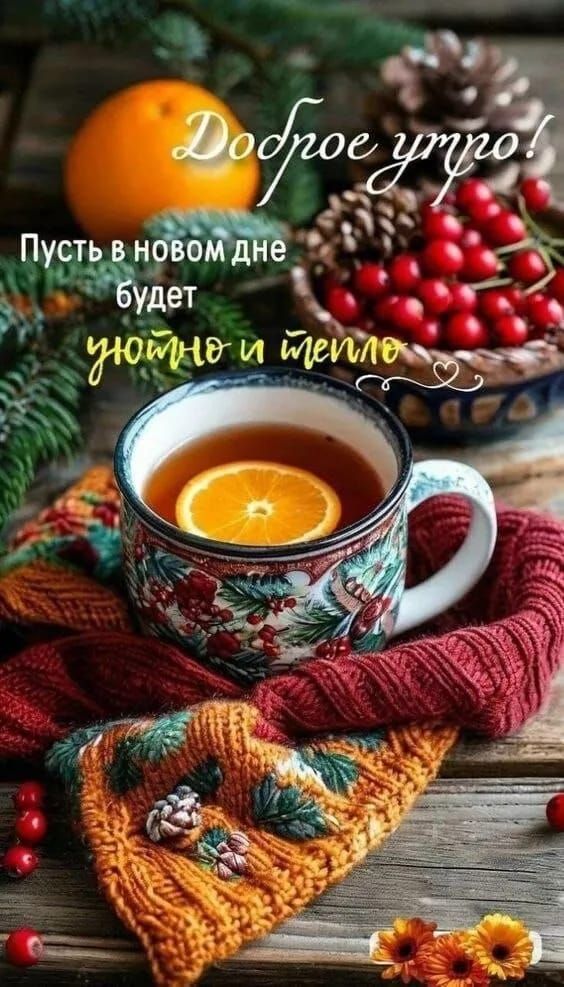 Доброе утро! Пусть в новом дне будет уютно и тепло