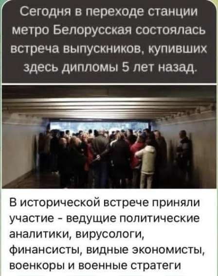 Сегодня в переходе станции метро Белорусская состоялась встреча выпускников, купивших здесь дипломы 5 лет назад.\nВ исторической встрече приняли участие - ведущие политические аналитики, вирусологи, финансисты, видные экономисты, военкоры и военные стратеги