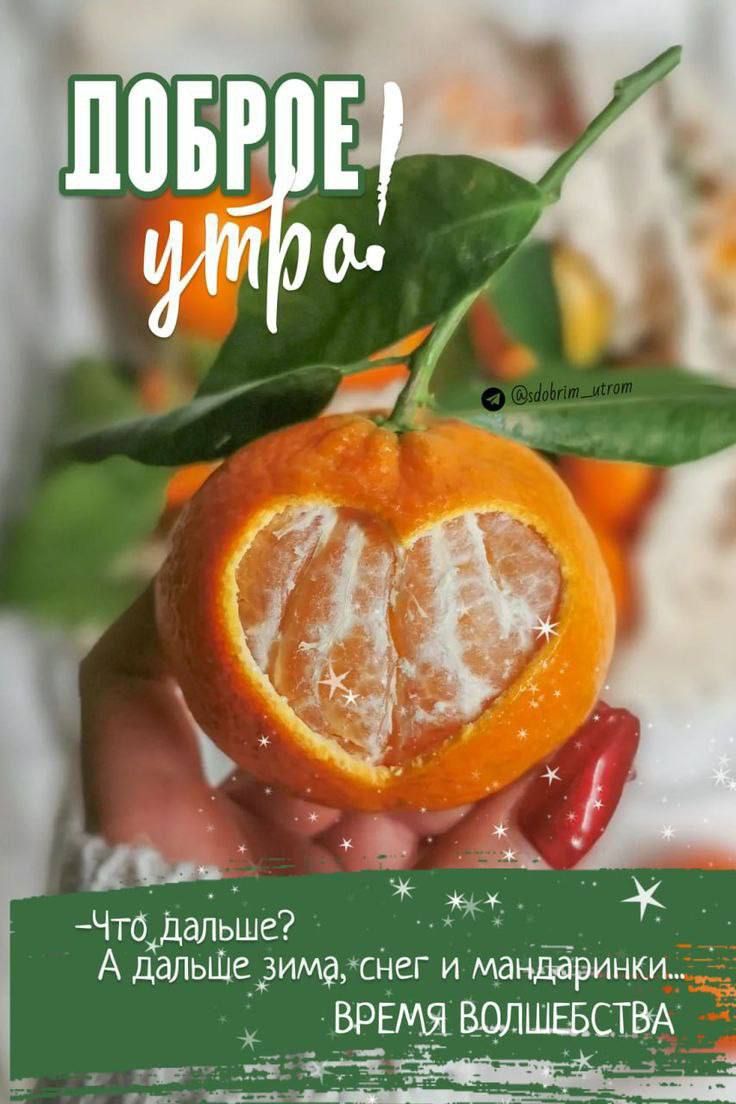 Доброе утро! Что дальше? А дальше зима, снег и мандаринки... ВРЕМЯ ВОЛШЕБСТВА