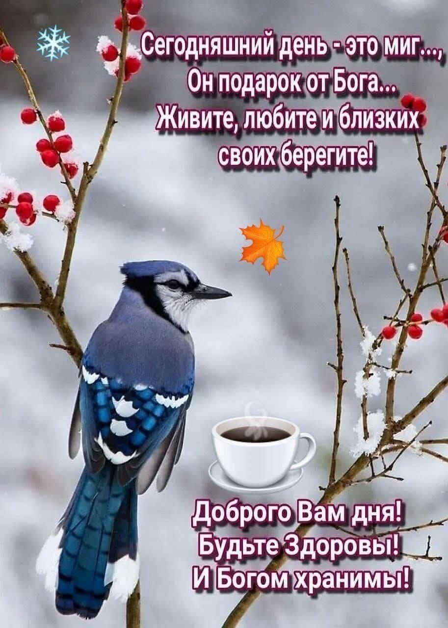 Сегодняшний день - это миг... Он подарок от Бога... Живите, любите и близких своих берегите! Доброе Вам дня! Будьте Здоровы! И Богом хранитесь!