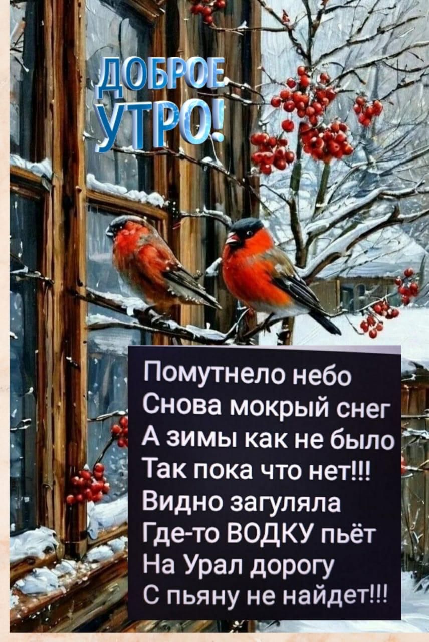 ДОБРОЕ УТРО! Помутнело небо Снова мокрый снег А зимы как не было Так пока что нет!!! Видно загуляла Где-то ВОДКУ пьёт На Урал дорогу С пьяну не найдёт!!!