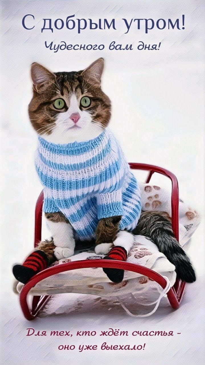 С добрым утром! Чудесного вам дня! Для тех, кто ждёт счастья - оно уже выехало!