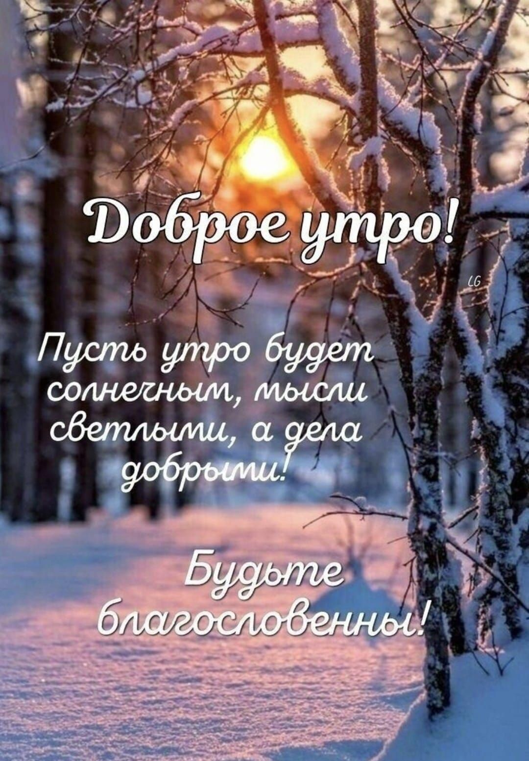 Доброе утро! Пусть утро будет солнечным, пусть светлым, а дела добрыми! Будьте благословенны!