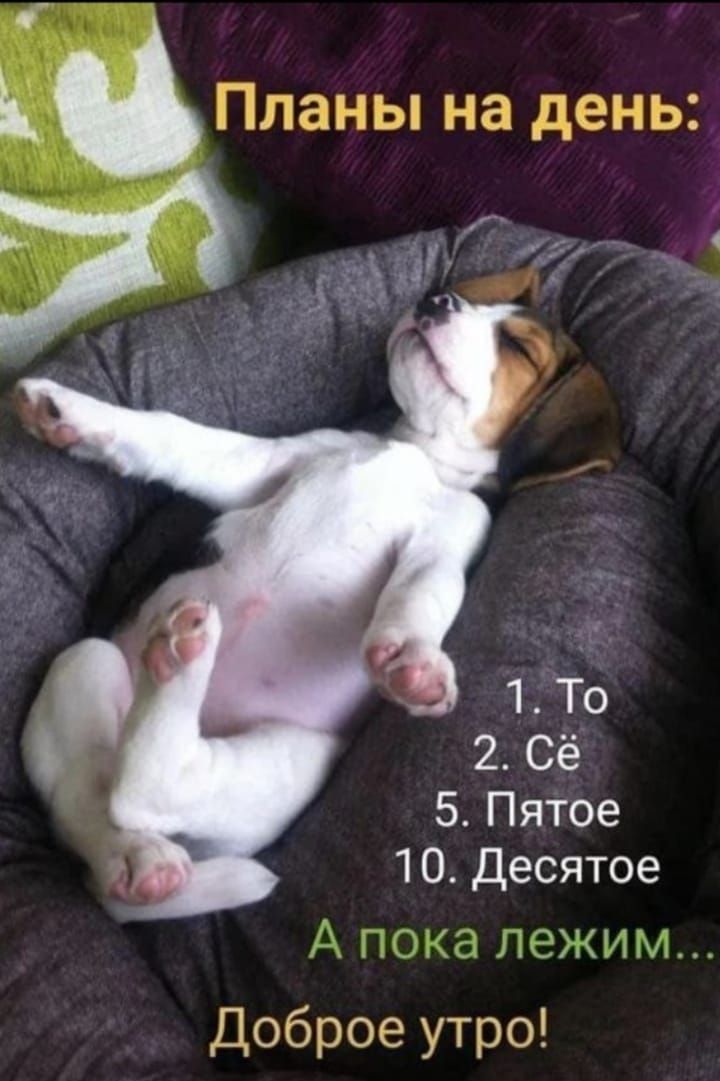 Планы на день: 1. То 2. Сё 5. Пятое 10. Десятое А пока лежим... Доброе утро!