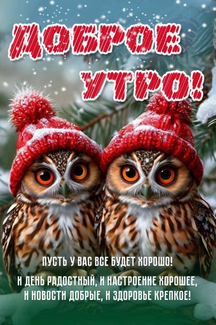 Доброе утро! Пусть у вас все будет хорошо! И день радостный, и настроение хорошее, и новости добрые, и здоровье крепкое!
