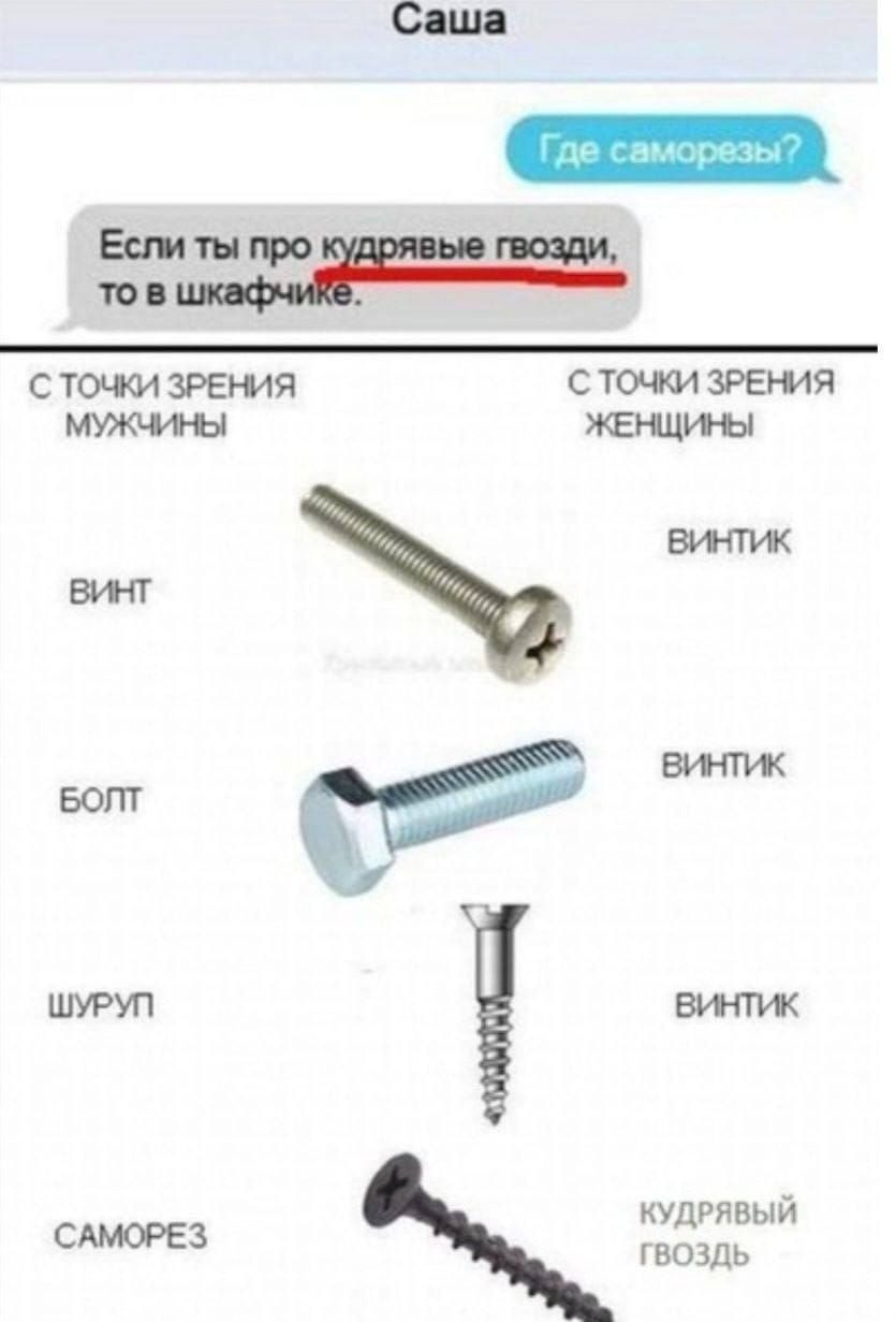 Саша
Где саморезы?
Если ты про кудрявые гвозди, то в шкафчике.

С ТОЧКИ ЗРЕНИЯ МУЖЧИНЫ				С ТОЧКИ ЗРЕНИЯ ЖЕНЩИНЫ
ВИНТ							ВИНТИК
БОЛТ							ВИНТИК
ШУРП							ВИНТИК
САМОРЕЗ					КУДРЯВЫЙ ГВОЗДЬ