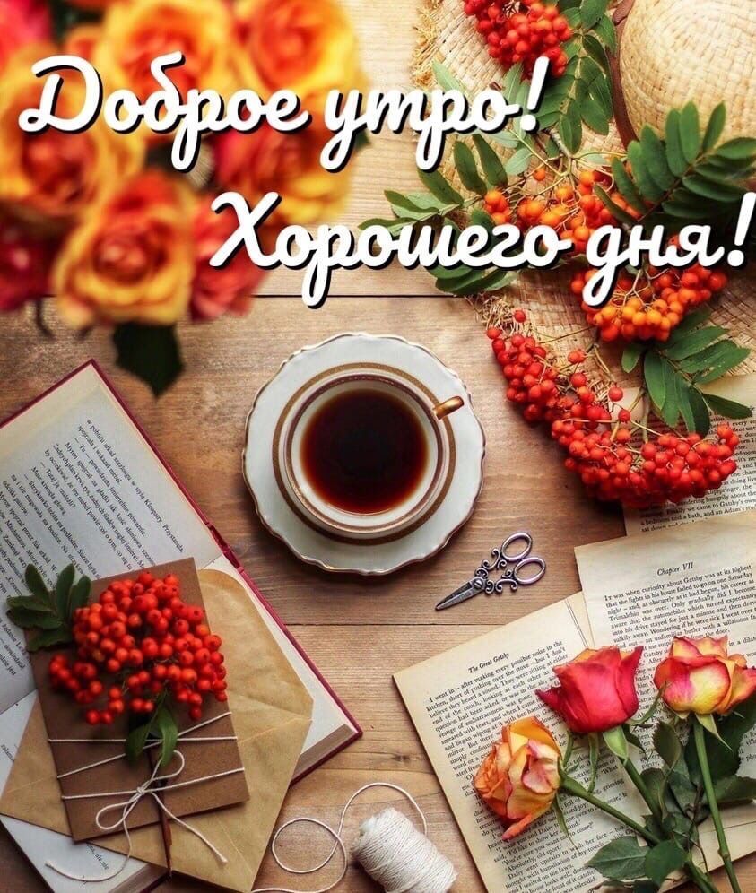 Доброе утро! Хорошего дня!