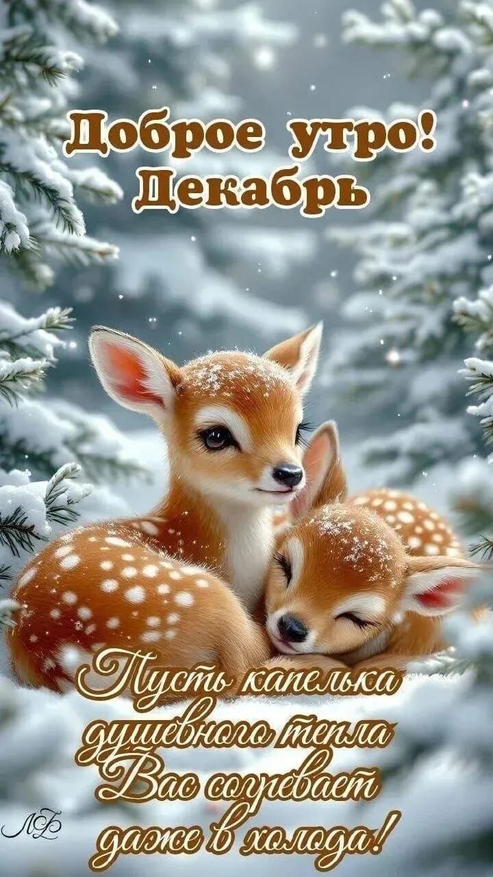 Доброе утро! Декабрь
Пусть капелька душевного тепла Вас согревает даже в холода!