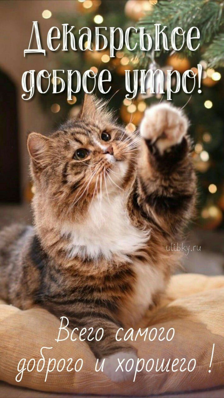 Декабрьское доброе утро! Всего самого доброго и хорошего!