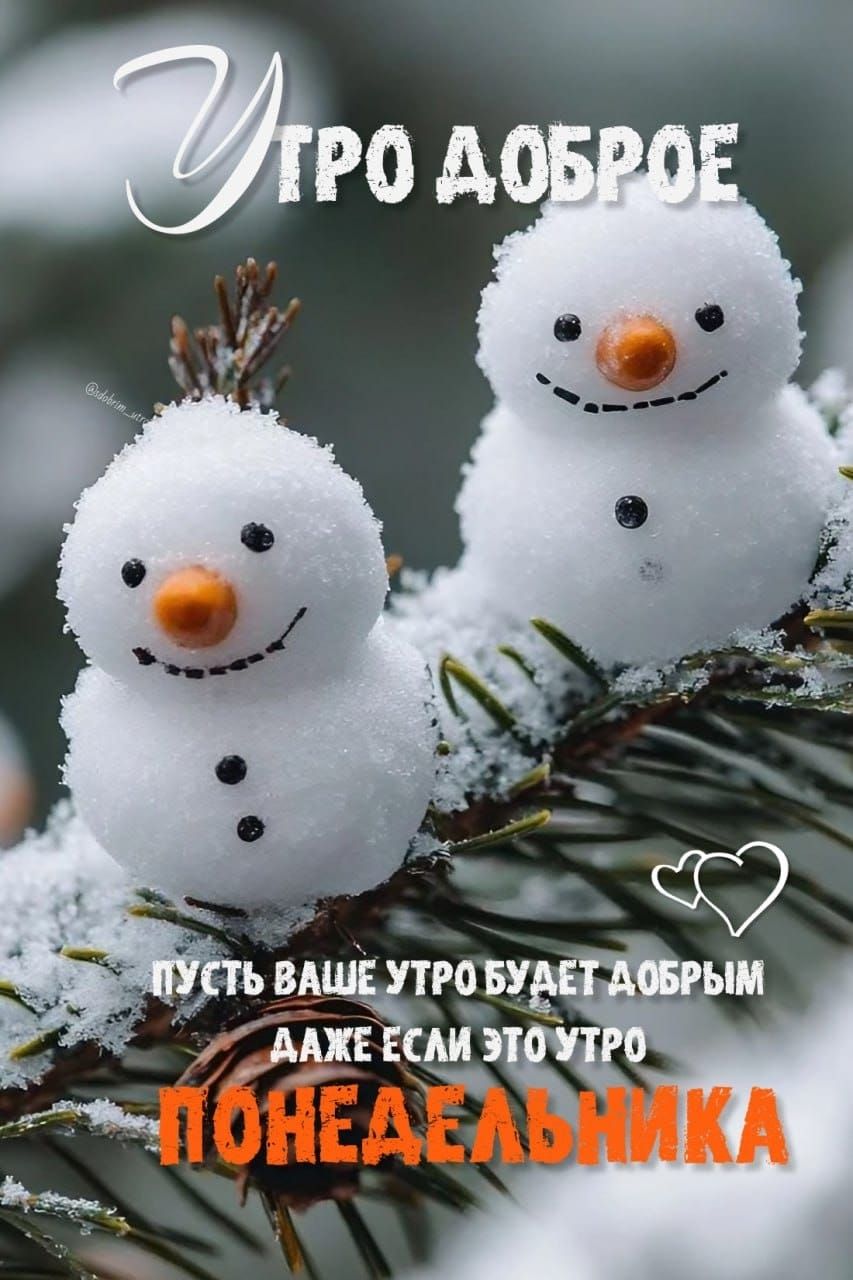 Утро доброе. Пусть ваше утро будет добрым даже если это утро понедельника