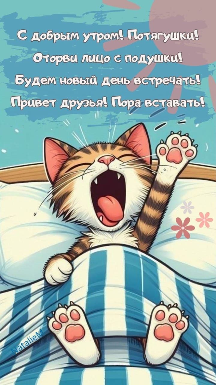 С добрым утром! Потягушки! Оторви лицо с подушки! Будем новый день встречать! Привет друзья! Пока вставать!