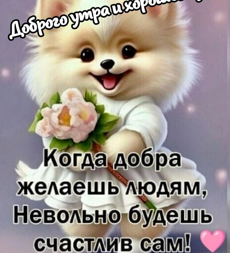 Доброго утра и хорошего дня! Когда добра желаешь людям, невольно будешь счастлив сам!