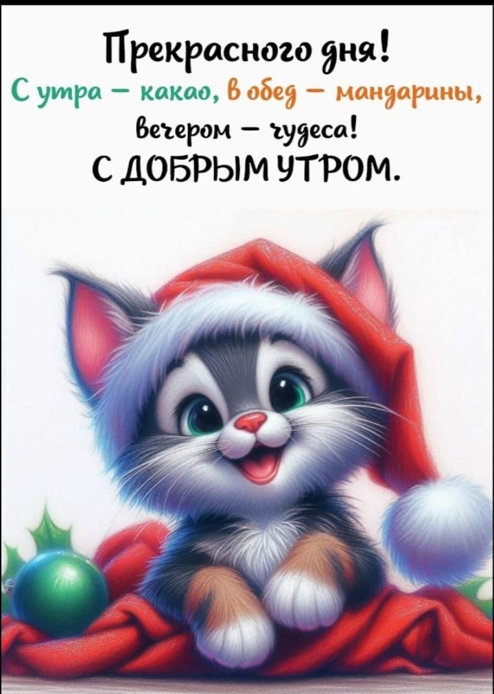 Прекрасного дня! С утрa — какао, в обед — мандарины, вечером — чудеса! С ДОБРЫМ УТРОМ.