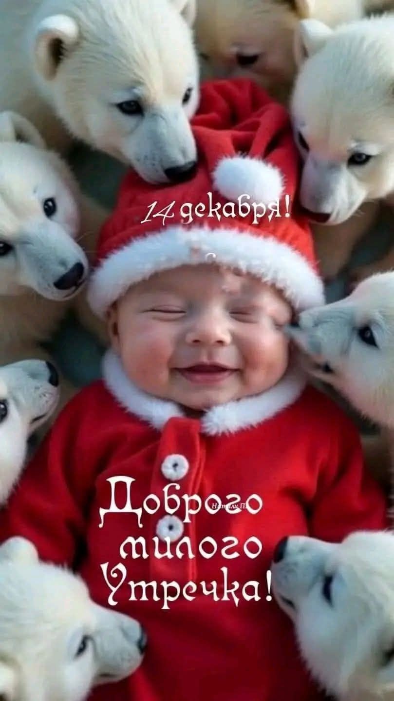 14 декабря!\nДоброе милого утречка!