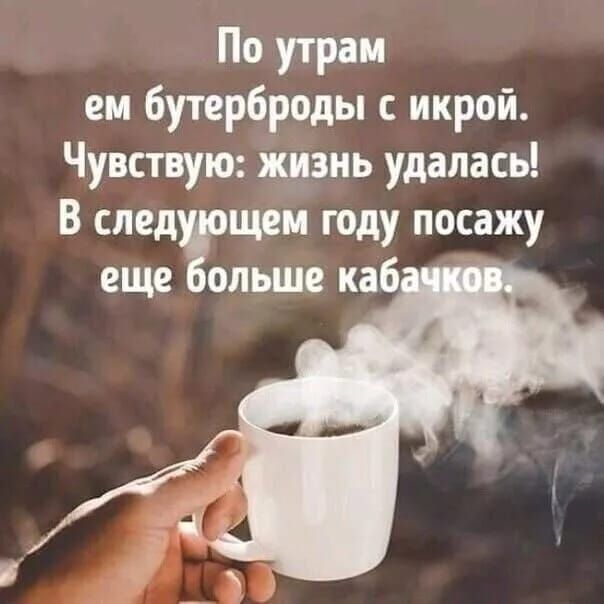 По утрам ем бутерброды с икрой. Чувствую: жизнь удалась! В следующем году посажу еще больше кабачков.