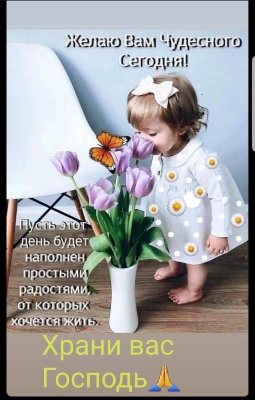 Желаю Вам Чудесного Сегодня! Пусть этот день будет наполнен простыми радостями, от которых хочется жить. Храни вас Господь