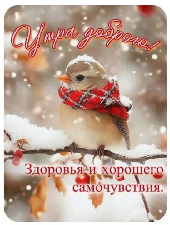 Утра доброго!
Здоровья и хорошего самочувствия.