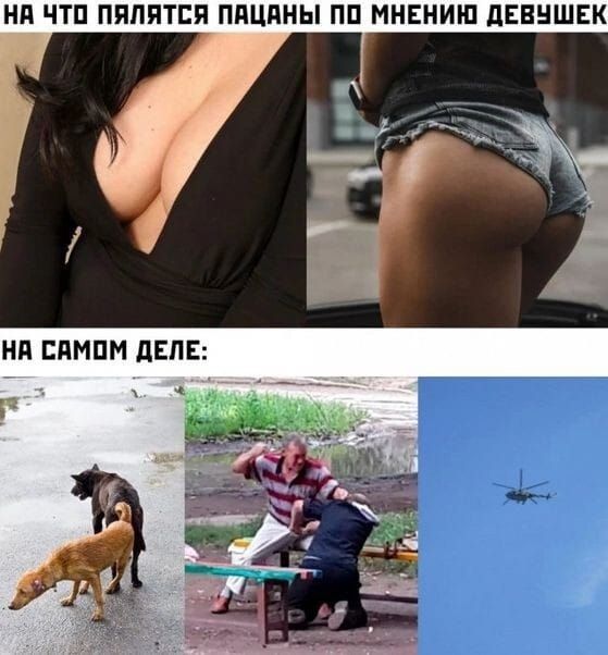 НА ЧТО ПЯЛЯТСЯ ПАЦАНЫ ПО МНЕНИЮ ДЕВУШЕК
НА САМОМ ДЕЛЕ: