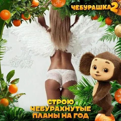 СТРОЮ ЧЕБУРАХНУТЫЕ ПЛАНЫ НА ГОД