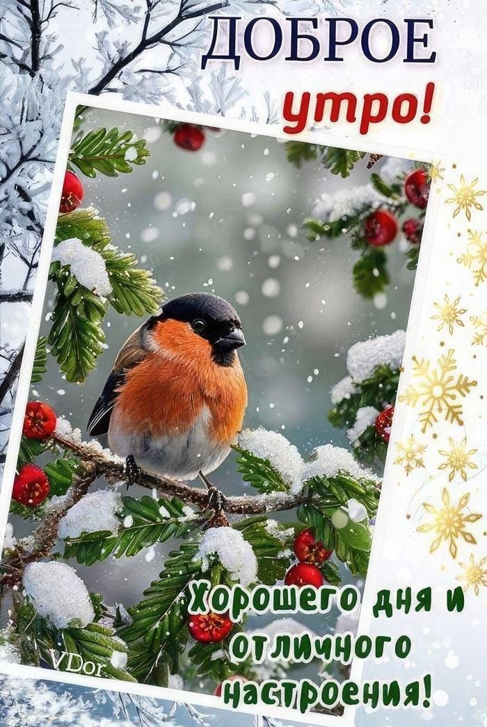 Доброе утро! хорошего дня и отличного настроения!