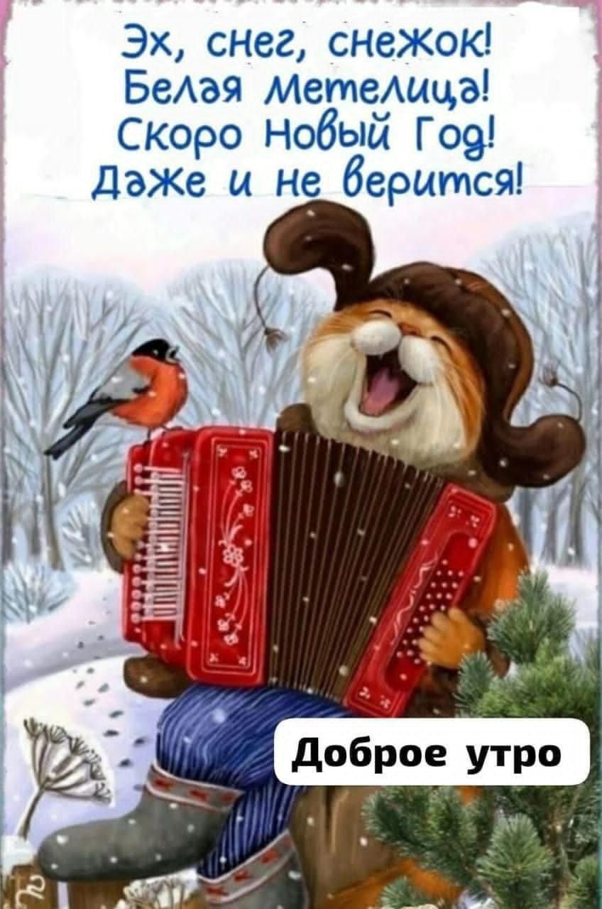 Эх, снег, снежок! Белая Метелица! Скоро Новый Год! Даже и не верится! Доброе утро