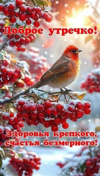 Доброе утречко!
Здоровья крепкого, счастья безмерного!