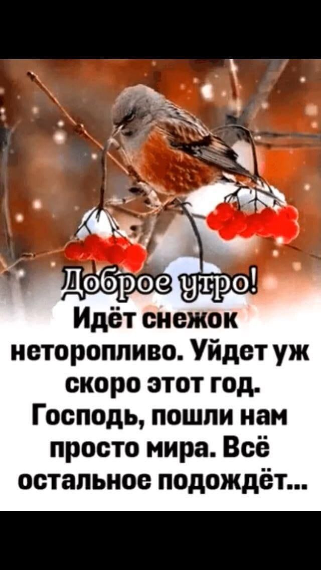Доброе утро! Идёт снегок неторопливо. Уйдет уж скоро этот год. Господь, пошли нам просто мира. Всё остальное подойдёт...
