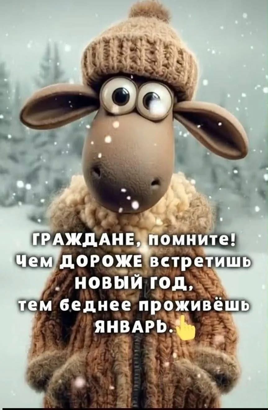 ГРАЖДАНЕ, ПОМНИТЕ! Чем дороже встретишь новый год, тем беднее проживёшь январь.