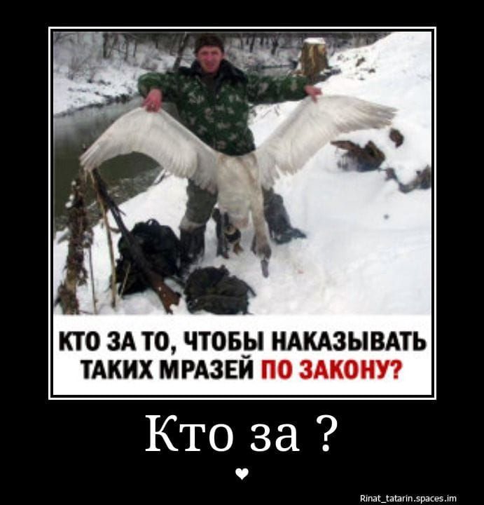 КТО ЗА ТО, ЧТОБЫ НАКАЗЫВАТЬ ТАКИХ МРАЗЕЙ ПО ЗАКОНУ? Кто за ?