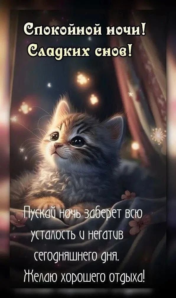 Спокойной ночи! Сладких снов! Пускай ночь заберет всю усталость и негатив сегодняшнего дня. Желаю хорошего отдыха!