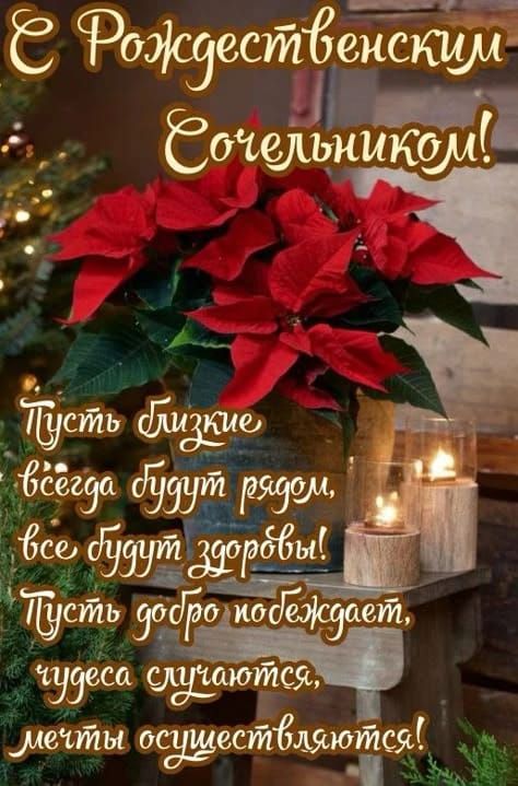 С Рождественскими Сочельниками! Пусть близкие всегда будут рядом, все будут здоровы! Пусть добро победдает, чудеса случаются, мечты осуществляться!
