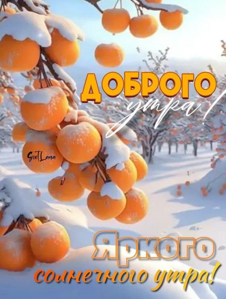 ДОБРОГО утра! Яркого солнечного утра!